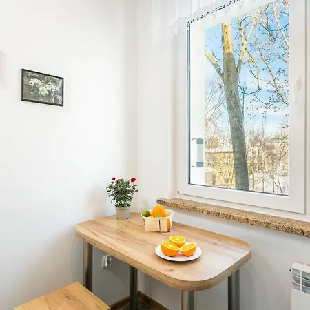 Orkana 3b Apartament By Rent Like Zakopane